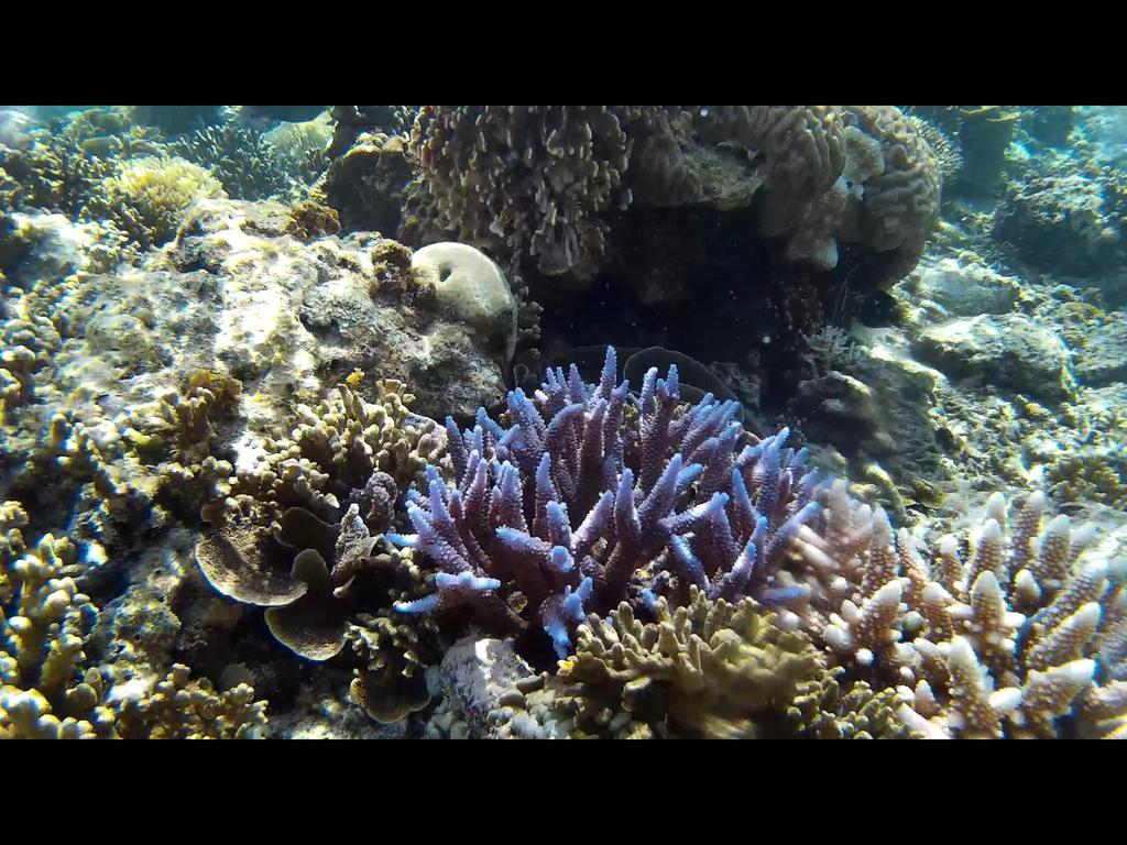 Gili Garden Bungalow Gili Meno Zewnętrze zdjęcie