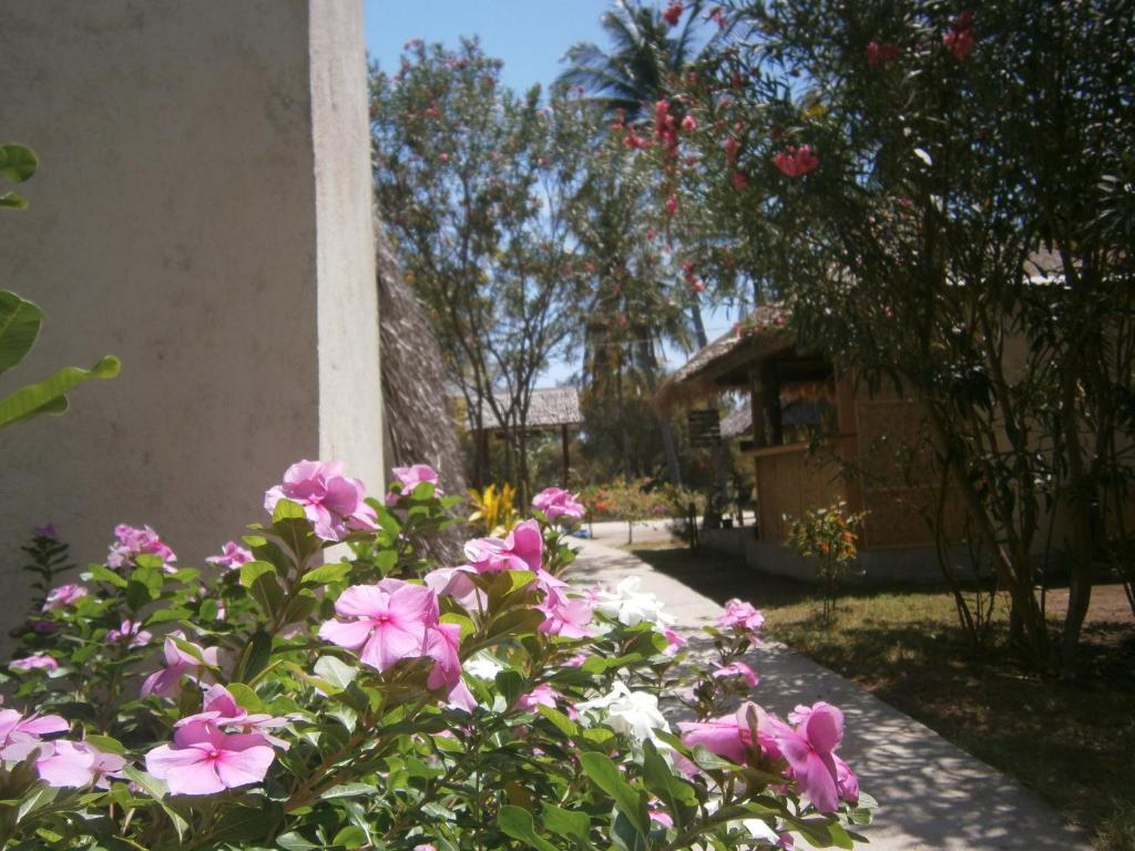 Gili Garden Bungalow Gili Meno Zewnętrze zdjęcie