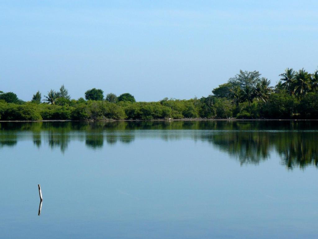 Gili Garden Bungalow Gili Meno Zewnętrze zdjęcie